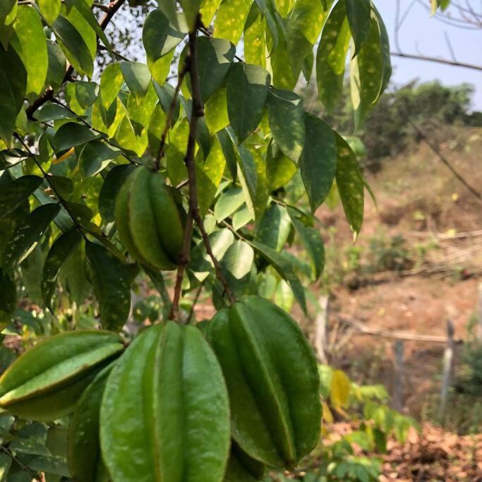 Lobville Homestay Karjat Exterior foto